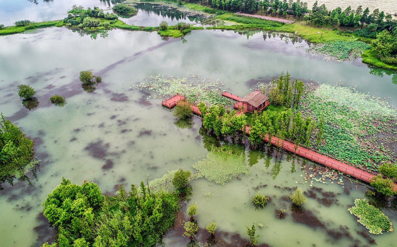 Water Sustainability